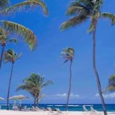 Nisbet Plantation Beach Club Newcastle Resort