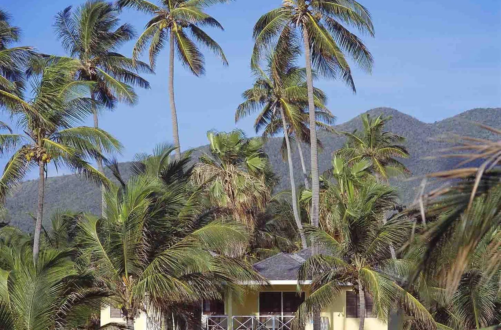 Nisbet Plantation Beach Club Newcastle