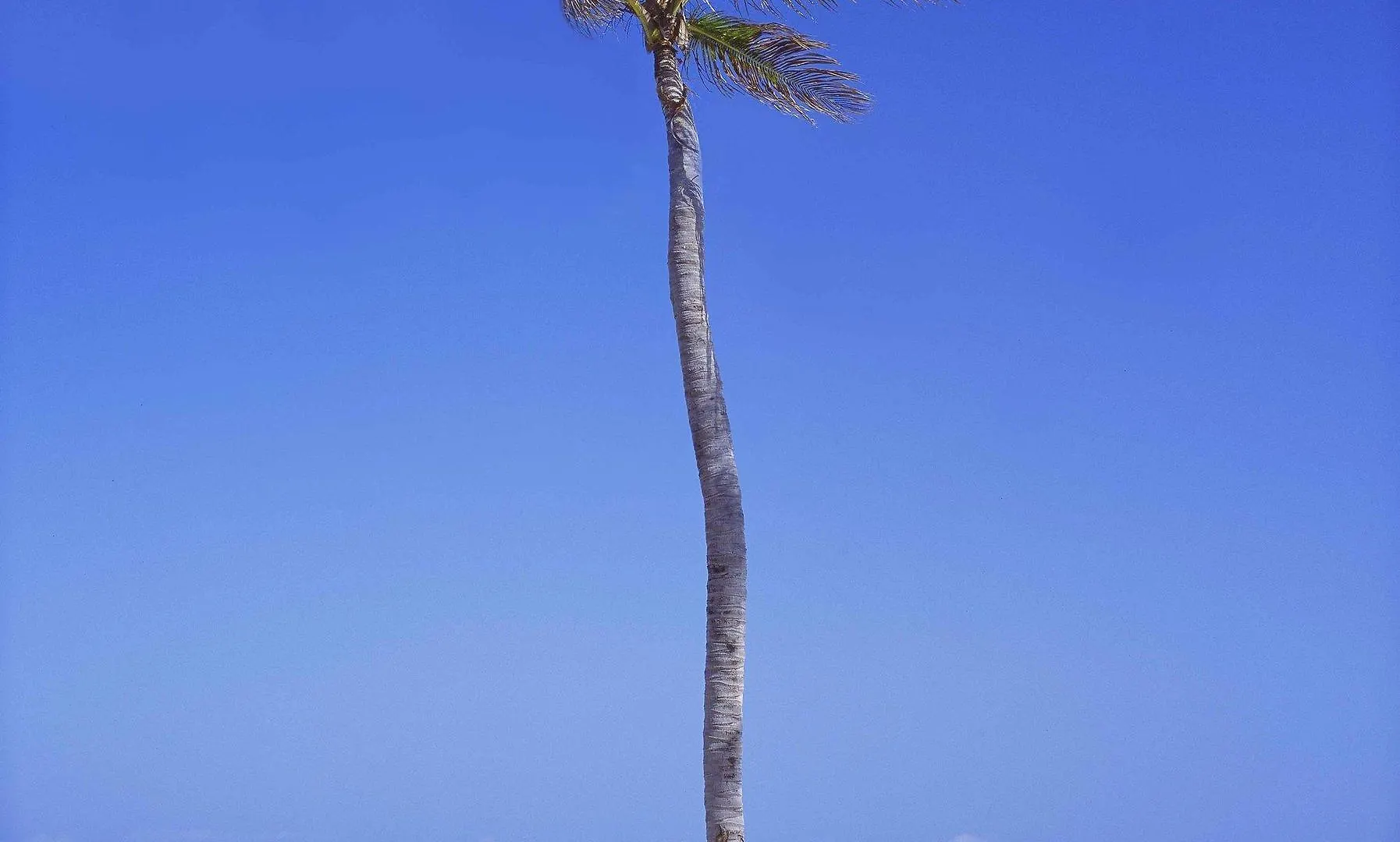 Nisbet Plantation Beach Club Newcastle Saint Kitts and Nevis