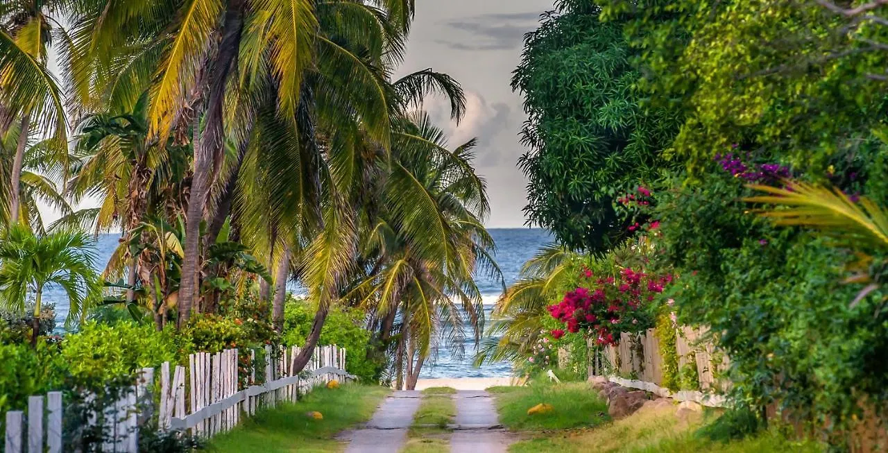 **** Resort Nisbet Plantation Beach Club Newcastle Saint Kitts and Nevis